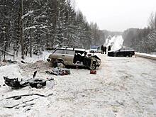 Родственники погибших в аварии в Верхошижемском районе детей ищут очевидцев ДТП