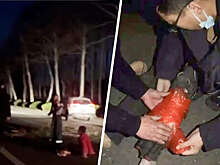 В Китае врач спас пенсионерку на улице с помощью ракетки и целлофанового пакета