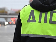 Дерево обрушилось на двигавшийся по трассе автомобиль