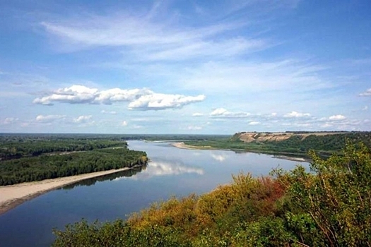 В Волгоградской области проведут экологическую акцию «Чистые берега»