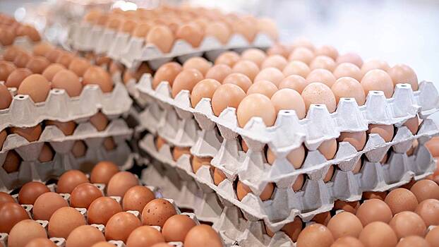 Эксперт Давлеев назвал три главные причины повышения цен на яйца