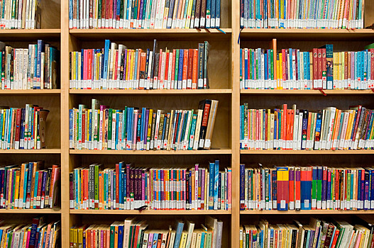 Свыше 11 тыс. новых книг поступило в библиотеки столицы в начале года