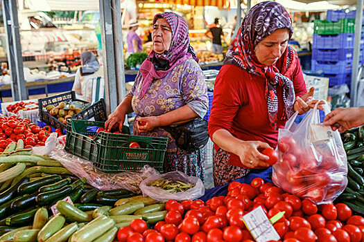 Ткачев: поставки турецких томатов в 50 тысяч тонн не повлияют на рынок