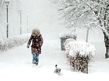 Красный уровень погодной опасности объявлен в Беларуси