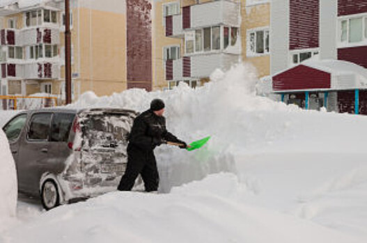 Более миллиона кубометров снега вывезено за сутки с московских улиц