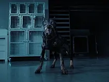 Netflix выпустил расширенный трейлер сериала "Обитель зла"