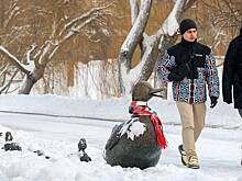 Синоптик Шувалов предупредил о погодных качелях в ЦФО на этой неделе