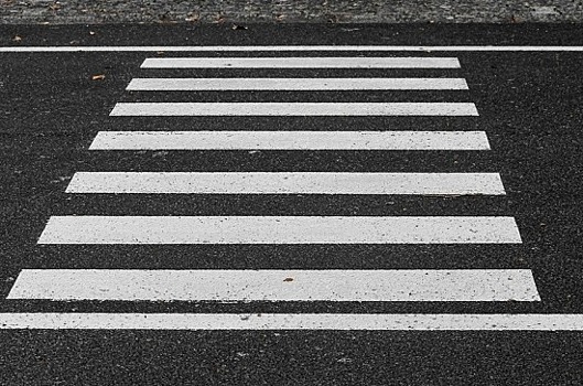 Петербургские депутаты попросили МВД размечать пять метров до зебры