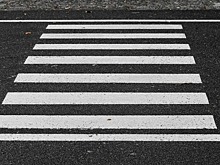 Петербургские депутаты попросили МВД размечать пять метров до зебры