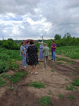 В пойме р. Урал в Оренбурге незаконно вырубали деревья