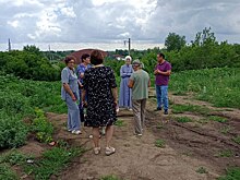 В пойме р. Урал в Оренбурге незаконно вырубали деревья
