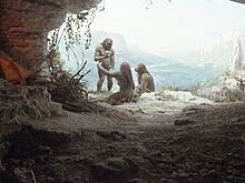 Ученые выяснили, когда древний человек научился готовить