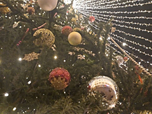 Курским чиновникам запретили проведение корпоративов даже за свой счёт