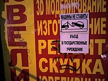 Шанцеву предложили стать арт-директором