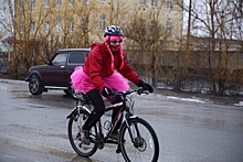 Волгоградские «феи» на велосипедах рассмешили водителей и коров