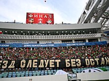 Фанаты "Локомотива" прорвались на поле после забитого Денисовым гола
