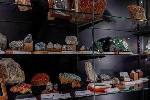 Горняки оцифровали аммониты и создали пособие для школьников о геологии Урала