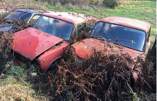 В Великобритании нашли кладбище редких советских автомобилей