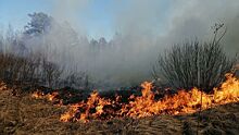 Подростки спасли от огня село в Саратовской области