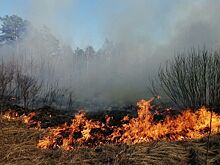 Подростки спасли от огня село в Саратовской области