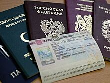 Законопроект об электронной однократной визе внесен в Госдуму