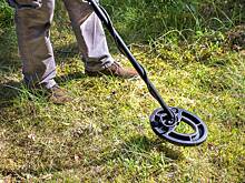 Мужчина нашел огромный клад и скрывал его восемь лет