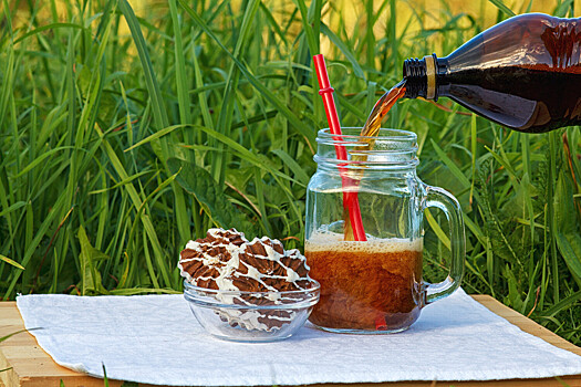 Врач Никитина: польза кваса для здоровья преувеличена