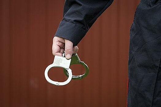 Суд продлил арест известному российскому ученому по делу о госизмене