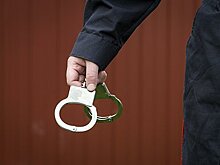 Задержан грозивший «устроить резню» в университете РосНОУ первокурсник