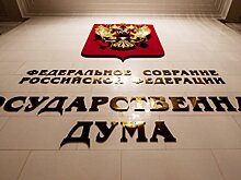 Госдума приняла закон о публикации обезличенных деклараций депутатов и сенаторов