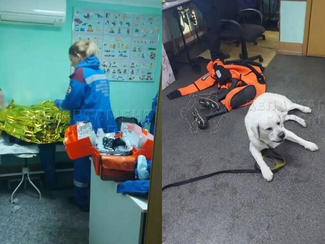 На Москве-реке спасли провалившихся под лед женщину с собакой