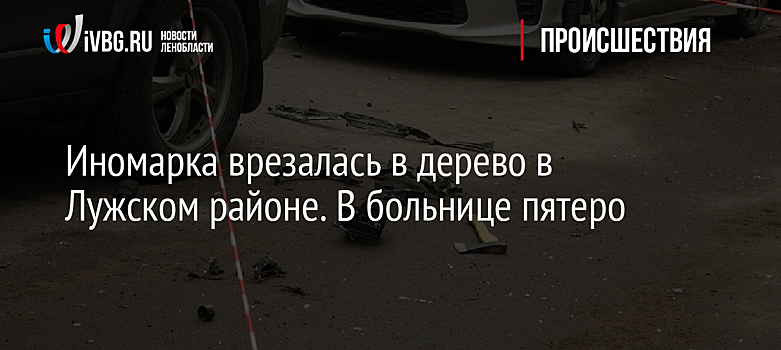 Иномарка врезалась в дерево в Лужском районе. В больнице пятеро