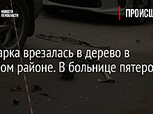 Иномарка врезалась в дерево в Лужском районе. В больнице пятеро