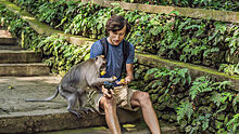 В Таиланде обезьяна искусала российского туриста