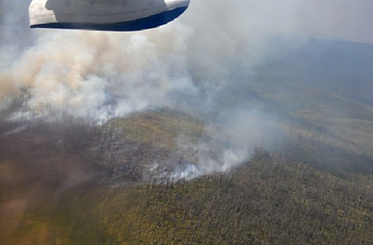 Минприроды РФ предложило изменить систему тушения лесных пожаров