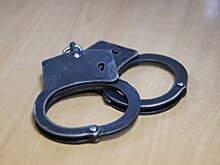 Гендиректор «Титановой долины» арестован на два месяца