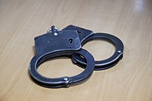 Гендиректор «Титановой долины» арестован на два месяца
