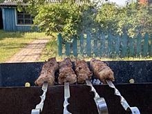 В Челябинске предложили создать бесплатные зоны для шашлыков
