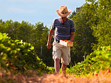 Лунинецкий район Беларуси: как местные жители выращивают клубнику и добывают полезные ископаемые?