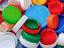 Горожанам рассказали, как приобрести полезные экологические привычки