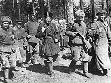 Какие «фрицы» стали советскими партизанами на ВОВ