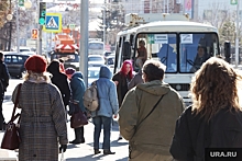 Перевозчики просят в Шадринске поднять цену проезда, как в Кургане