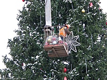 В Рязани 6 февраля демонтируют главную новогоднюю елку на Ленина