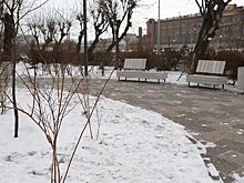 На новом променаде на Красрабе установят светящиеся деревья