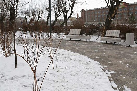 На новом променаде на Красрабе установят светящиеся деревья