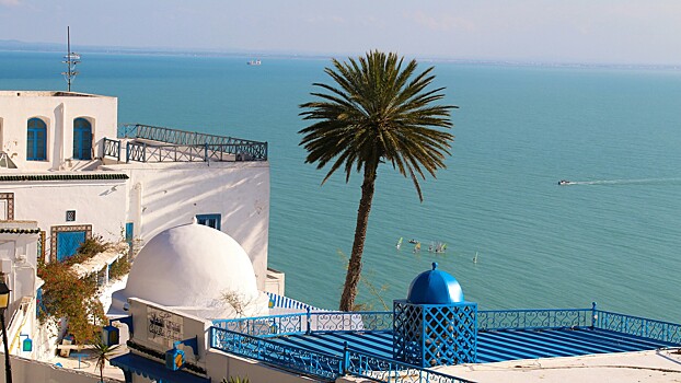 Тунис изменит визовый режим для граждан Египта