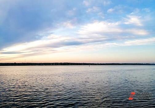 Власти рассказали о судьбе кемеровских уток и багровой Искитимки