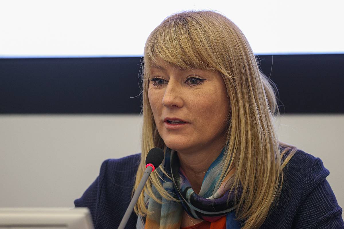 В Госдуме отреагировали на заявление ЕС о войне с Россией