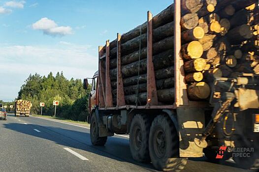Эксперт рассказал, почему в России в 2022 году снизились объемы деревообработки