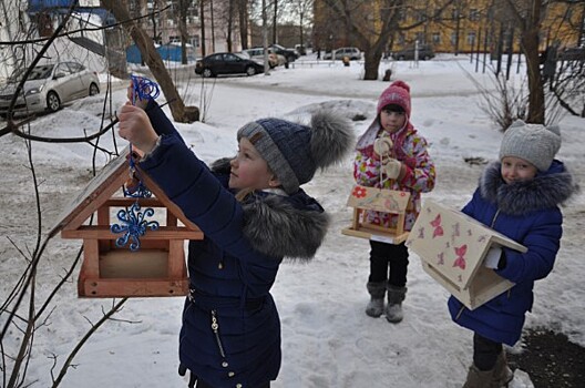 В Ярославской области проходит экологическая акция «Покормите птиц»